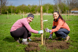 2 women planting a tree