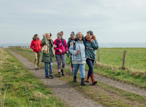big wild walk