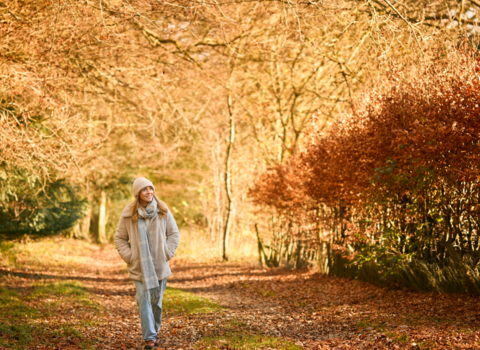 autumn walk