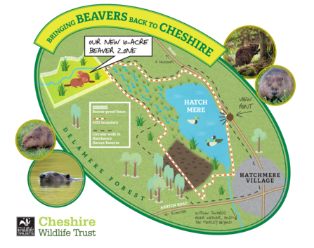 Hatchmere beaver map