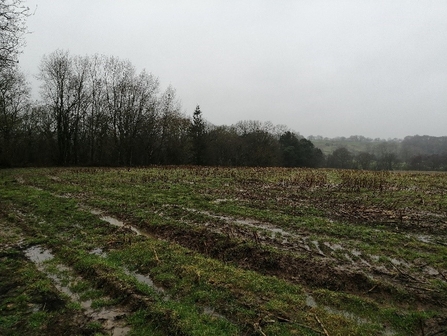 saltersford farm now