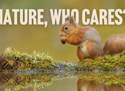 Nature who cares? Banner